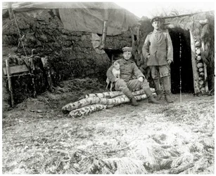 Österreichische Soldaten mit einem Hund, 1914-18